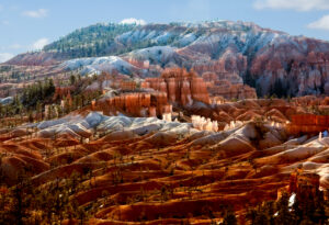 Manhasset Great Neck Camera Club